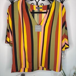 Madison Vibrant Striped V-Neck Blouse